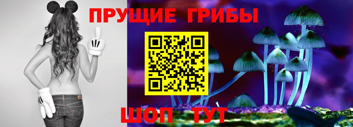 Галлюциногенные грибы Cubensis  Вход с VPN  Кстово  Галлюциногенные грибы Magic Shrooms 